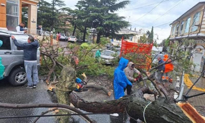 Ветер в Крыму побил все рекорды, последствия непогоды на полуострове – значительные