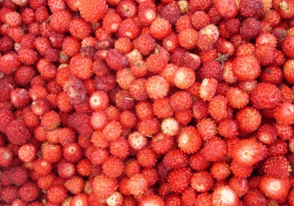 В Крыму дешевеет земляника