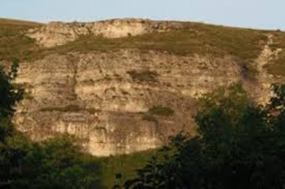 22-летний парень совершил покушение на мать