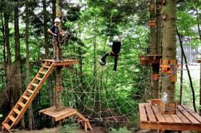 В Мисхоре началу работу особенный парк