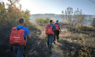 Возле сафари-парка выгорело 20 гектаров сухой растительности