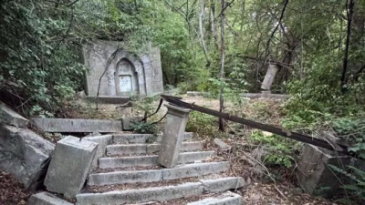 Ливадийский парк стремительно разрушается - ялтинцы просят о помощи