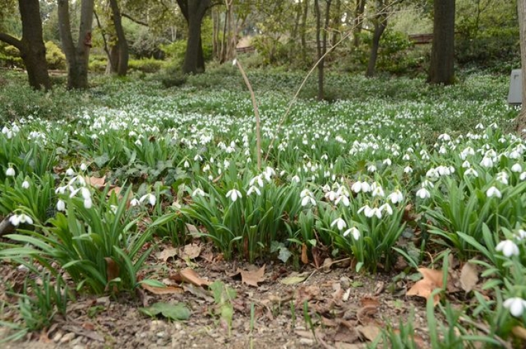 В Татьянин день для студентов Крыма приготовили подарок