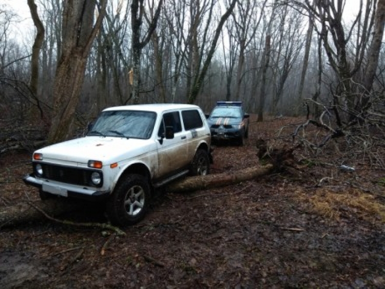 На территории Долгоруковской Яйлы потерялись автотуристы