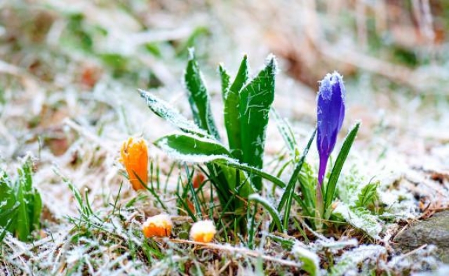 Зима в Крыму задержится еще на несколько дней