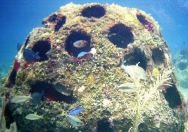 Из акватории Ялты исчез искусственный риф