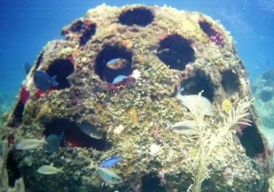 Из акватории Ялты исчез искусственный риф