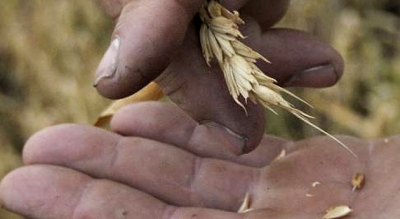 Аграрный сектор в Крыму потерян – Алексей Павленко