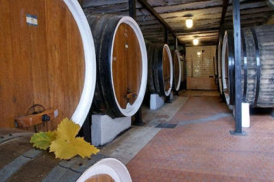 Винодельческий завод «Магарач» в 4,5 раза увеличил розлив вина