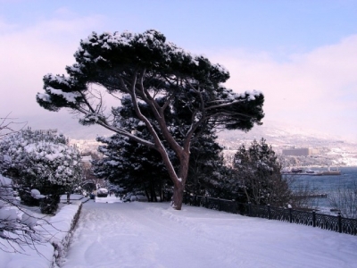 В гости в Ялту