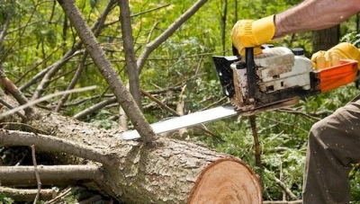 Жители Керчи возмущены уничтожением сквера