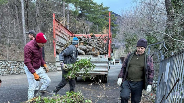 Ялта пострадала от непогоды - ветер сносил крыши и валил деревья