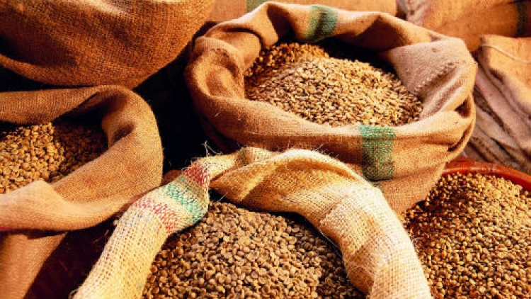 В Крыму изъяли из оборота 711 т ядовитого зерна