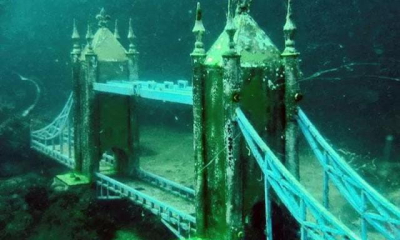 На дне Черного моря планируют создать подводный парк