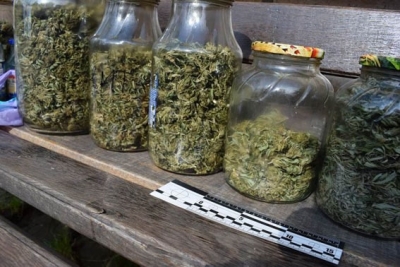 В доме жителя Севастополя нашли килограмм конопли