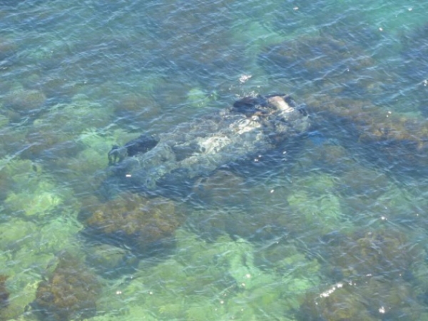 После падения автомобиля в море водитель скрылся