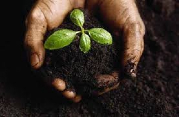 Фермеры Крыма просят поддержки