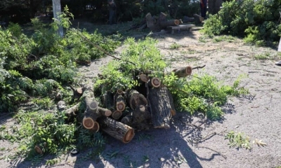 В Севастополе уничтожается парк «Каменный цветок»