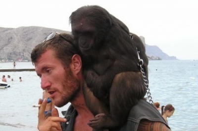 В Крыму будут наказывать тех, кто предлагает фото с обезьянкой