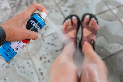 Комарам понравилось на нынешнем полуострове 