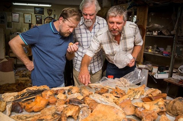 В Карстовой пещере археологи обнаружили останки древнего носорога