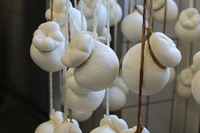 Через год в Севастополе будет своя моцарелла?