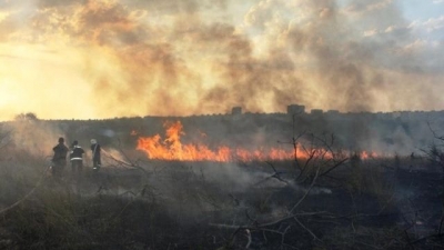 125 человек в Балаклавском районе тушили вчера пожар