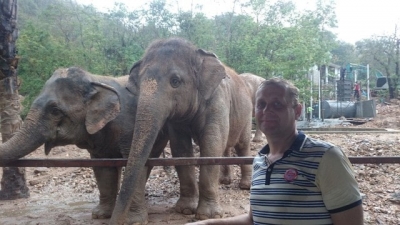 В крымский парк львов «Тайган» прибыли две слонихи