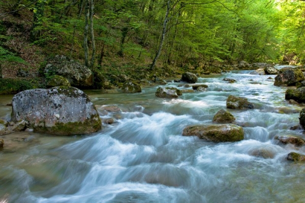 Воды реки Коккозка направят в Чернореченское хранилище