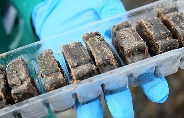 В крымских лесах разложили вакцину от бешенства