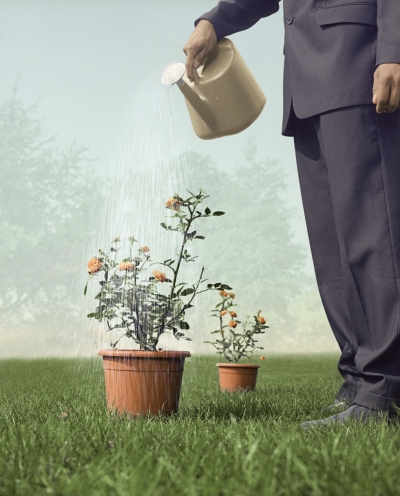 Власти просят особых условий для бизнеса полуострова