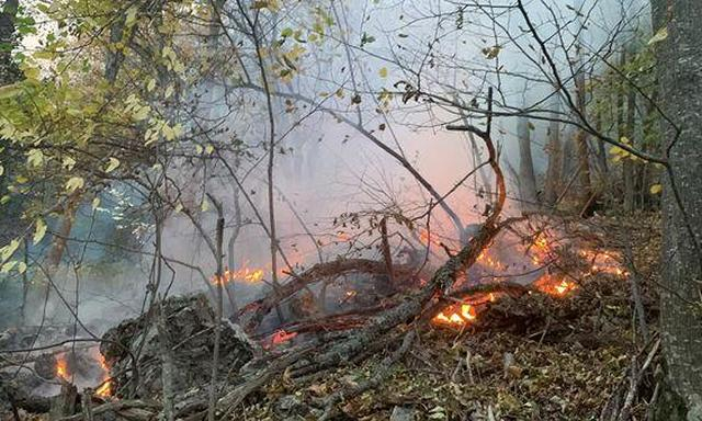 Из-за масштабного пожара на трассе Симферополь – Евпатория произошло 8 ДТП