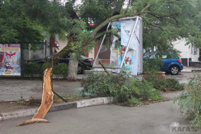 На Крым обрушилась непогода: забиты ливневки, повалены деревья, возникли перебои со светом