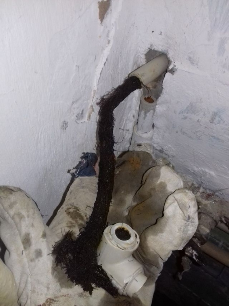 В Красноперекопске водопроводные трубы забиты водорослями