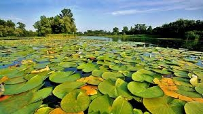 В Крыму будут брать деньги за визит в заповедную зону