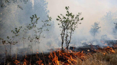 Спасатели Крыма ликвидировали несколько пожаров на открытой местности