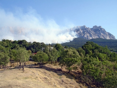 Заповедники Ялты обеспечили топливом к пожароопасному сезону