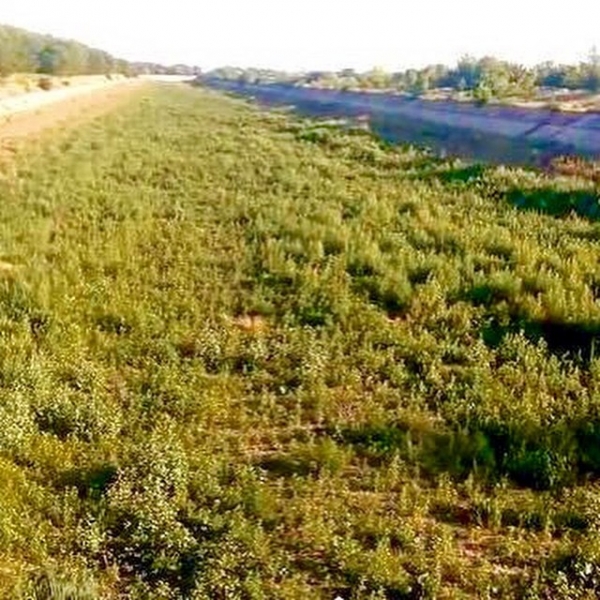 Северо-Крымскому каналу остался только год?