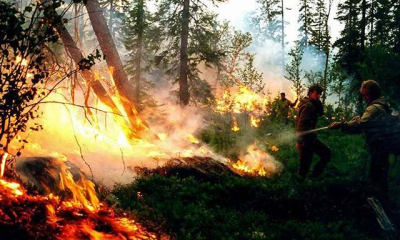 На Крымском полуострове продлен запрет на посещение лесов