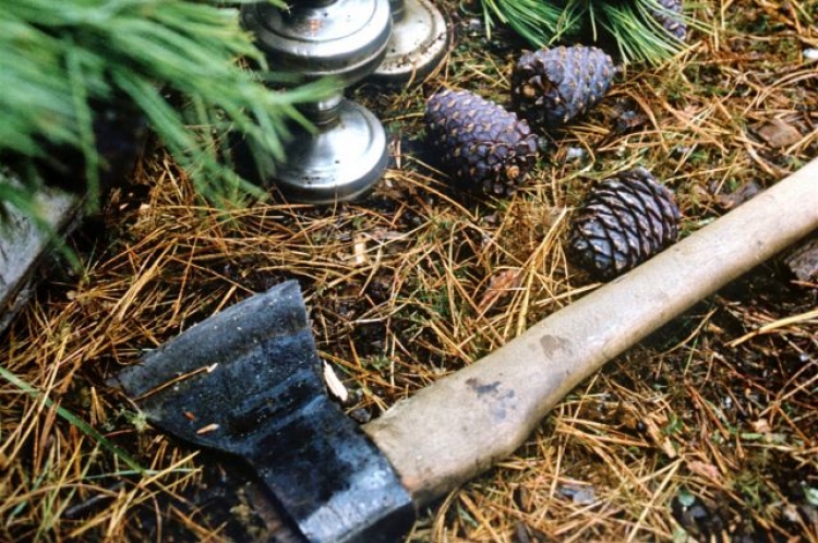 Селянам предстоит ответить за уничтоженные деревья