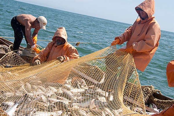 О развитии рыбной отрасли поговорили в Керчи