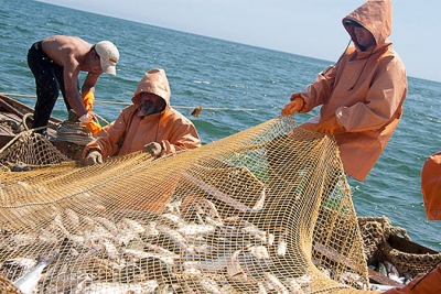 О развитии рыбной отрасли поговорили в Керчи