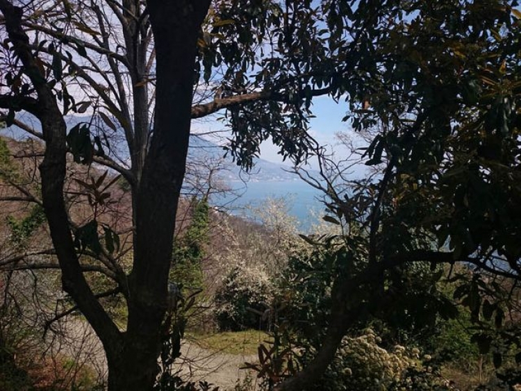 У парков Южного берега появился шанс на возрождение?