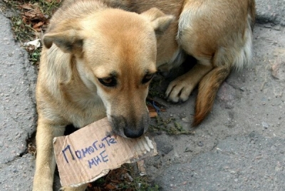 В этом году в Севастополе стартует очень важный для города проект