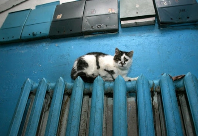 Жителям Крыма пришли новые платежки – за что нужно платить?