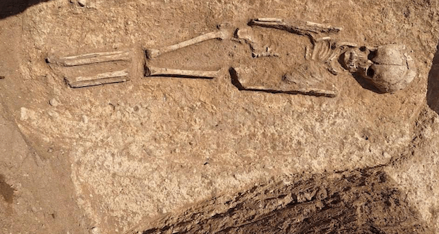 Рабочие обнаружили под Севастополем часть некрополя II века нашей эры