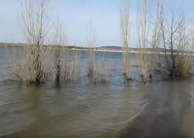 Снежная зима спасла от высыхания Тайганское водохранилище – оно выходит из берегов