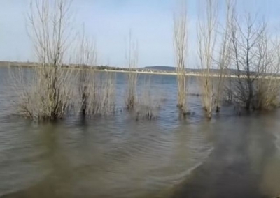 Снежная зима спасла от высыхания Тайганское водохранилище – оно выходит из берегов