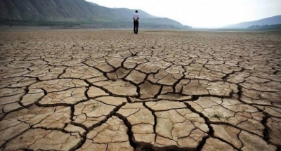 Что еще, кроме ЧП в Судаке, проигнорировал Владимир Путин во время своего визита в Крым?