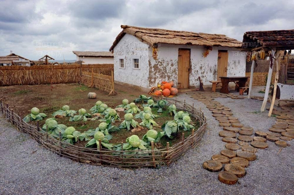 Российские казаки осваивают Крымские просторы 